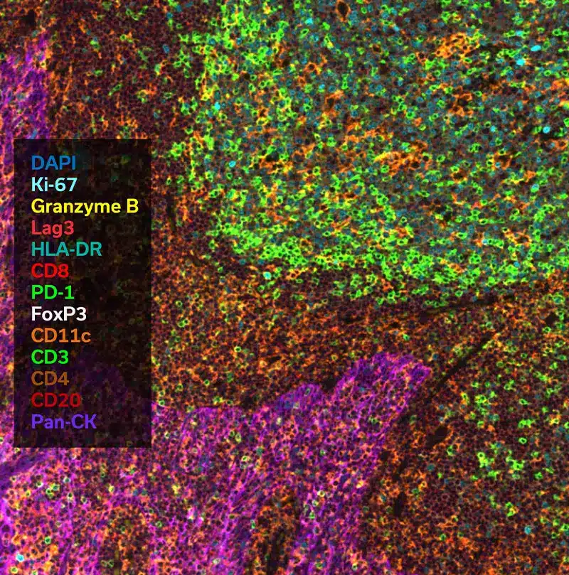 Assay Development & Services