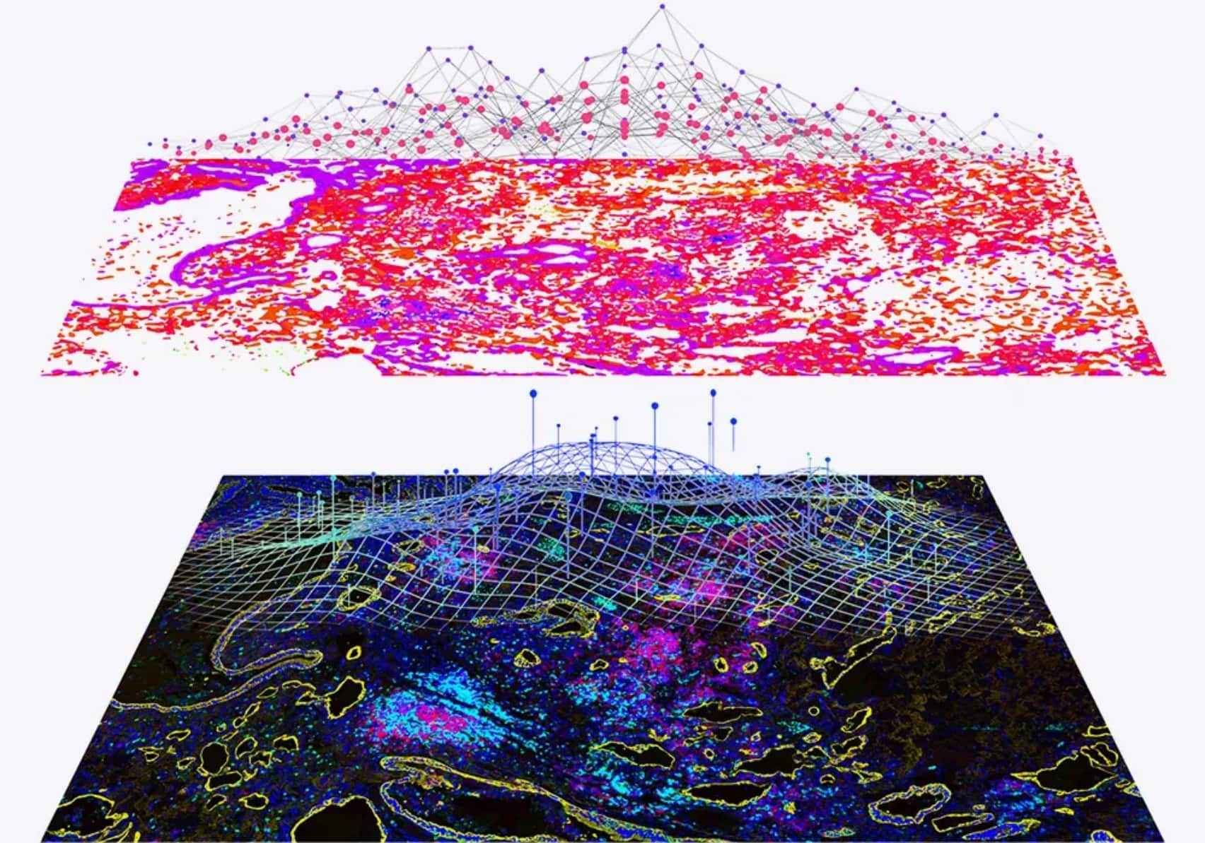 STARVUE Spatial Image Analysis Pipeline